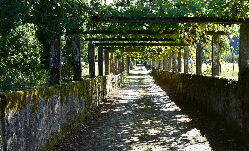 rutas-turisticas-ruta-bodegas rutas-turisticas-ruta-bodegas